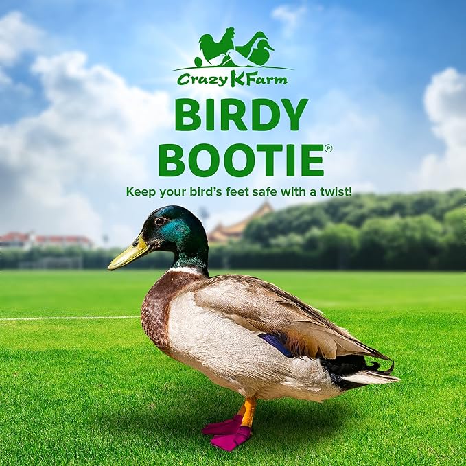 Duck Shoes for Injured Feet – Protective Neoprene Footwear for Ducks, Protective Shoes for Birds with Injured feet, Bumblefoot Relief - Medium, 3.5” Max. Inside Width - Pink