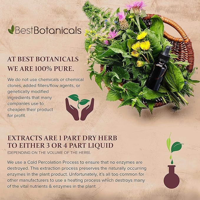Best Botanicals Catnip Herb Powder 16 oz.
