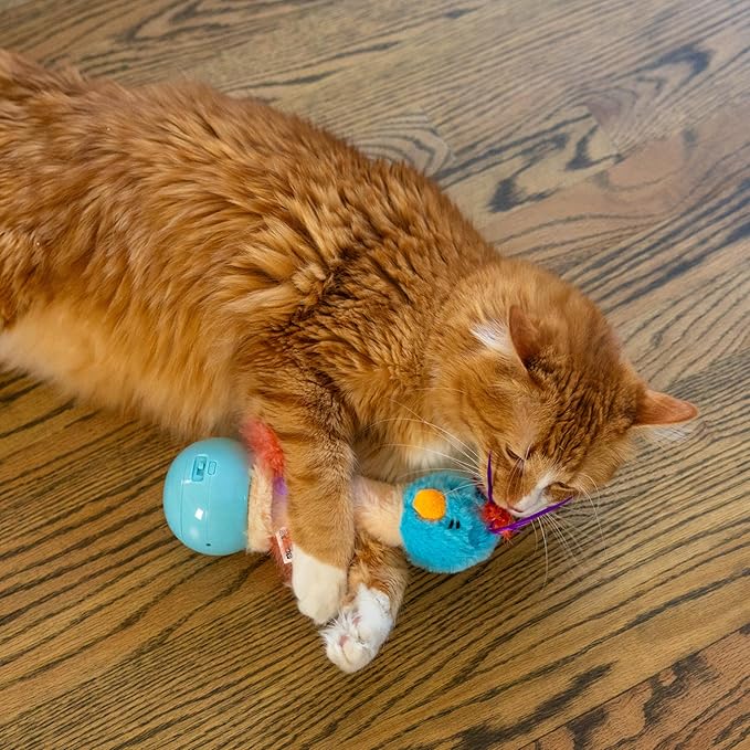 Catstages Electronic Dancing Ostrich Interactive Cat Toy, Wobbles and Plays Music, Battery Powered, Plush, Blue