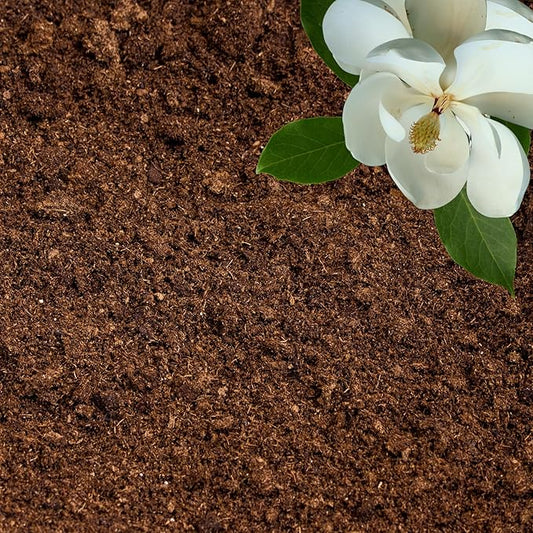 Peat Moss for Plants – Organic Sphagnum Peat Moss for Orchids, Terrariums, Seed Starting, Reptiles & Potting Soil Mix (5 quarts)