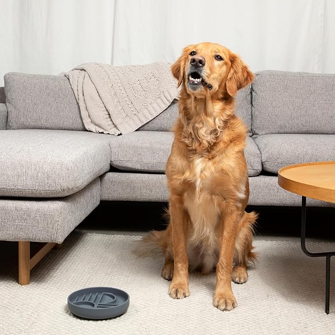 The Slowdown Bowl Silicone Slow Feeder for Dogs & Puppies, Slow Eating Modern Lick Mat Design Reduces Gulping, Fits 2 Cups 7.5” Across x 1.5” Tall, Mealtime Challenge, Medium-Sage
