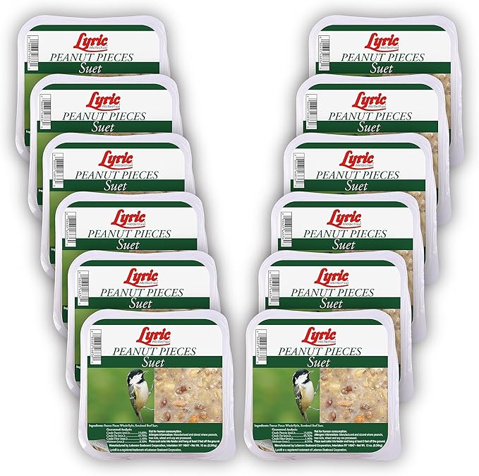 Lyric Peanut Pieces High Energy Suet Cakes for Wild Birds, 12 oz. (12 Pack)