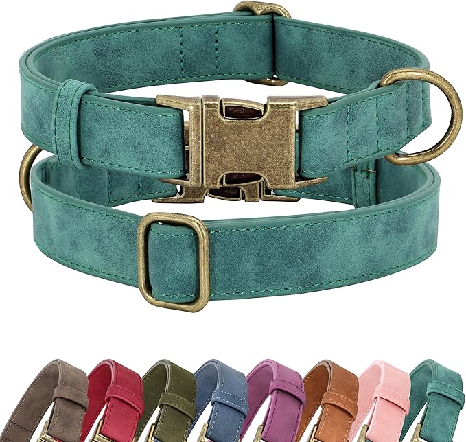 Didog Soft PU Leather Dog Collar, Stylish Quick Released Dog Collars for Small Dogs, Easy Clean Adjustable Pet Collar for Daily Walking, Green, S Fit 10-16" Neck