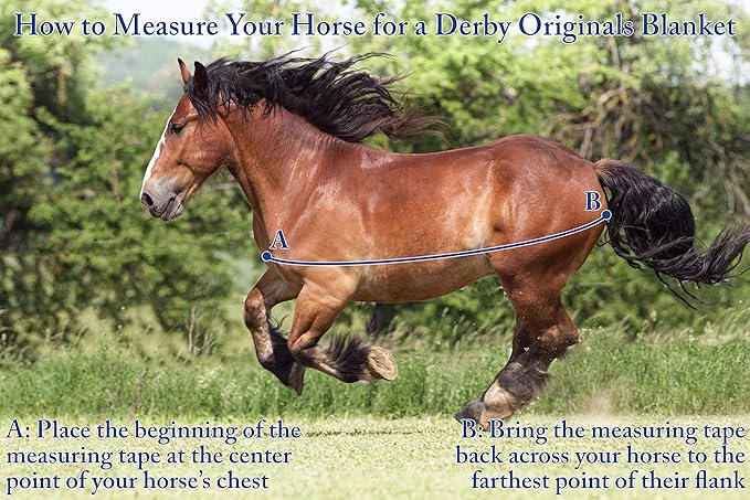 Derby Originals Nordic-Tough 1200D Heavyweight Mini Horse & Pony Turnout Blanket – Waterproof, Breathable, 300g Insulation, 210T Lining, Reflective, 2-Year Warranty (Turquoise, 36")