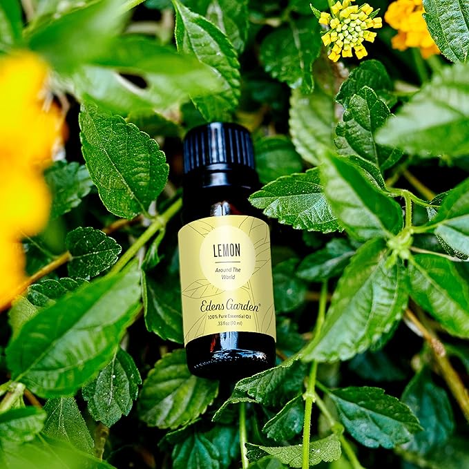 Edens Garden Lemon Around The World Essential Oil- 100% Pure Premium Grade, Undiluted, Natural, Therapeutic, Aromatherapy, The Best for Diffuser, Candle, Laundry, Humidifiers 30 ml (1 fl oz)