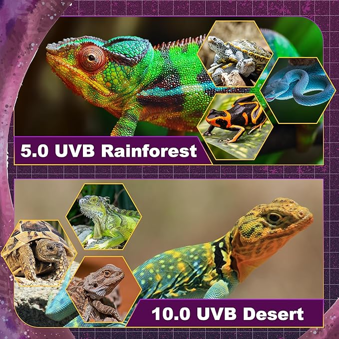 T5 HO UVB Lighting Combo Kit, 39W Reptile Light Fixture with Fluorescent Light Bulbs, Tropical 5.0 UVB Light for Reptiles and Amphibians, Basking Light for Bearded Dragon, High Output Natural Light