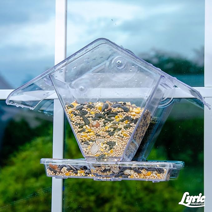 LEBANON SEABOARD SEED 26-47293 Supreme Bird Seed, 40 lb